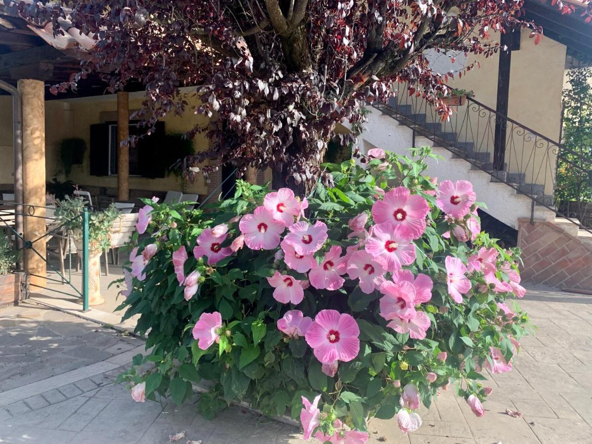 Residenza Cerci Hotel Valmontone Buitenkant foto